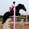 my wife doing a jump (on horse back) im-james photo
