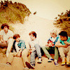 One Direction {credit:CullenSisters-X} Andressa_Weld photo