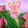 barbie fairytopia ;magic of the rainbow lama56 photo