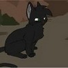 Hollyleaf...THE COOLEST CHARACTER IN THE WARRIOR CAT BOOKS!!!!!!!! Rebecca_Orlando photo