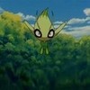 my fav pokemon gyrothehedgehog photo