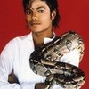 SNAKE! :D lol i love michael and the snake it makes him look bad ;) MJlover2256821 photo