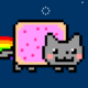 Nyan-Cat's photo