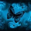  butterflygrande photo