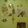 my room willowtara photo