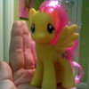 My hand is holding my darling Fluttershy. :) -EpicCute- photo