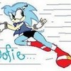 Female Sonic = Sofie And DO NOT COPY! shadowsis98 photo