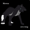 Merrew, A wolf i made up thats proud, independent, and not afraid to be ambitious. Moonstorm100 photo