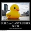 Giant Rubber Duck sadiebugz00 photo