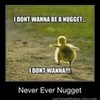 I DONT WANNA BE A NUGGET!!! Life_Is_Music photo