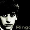 adorable Ringo :3 jopageri13 photo