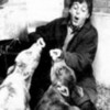 middle aged Paulie getting devoured by goats!!! :( jopageri13 photo